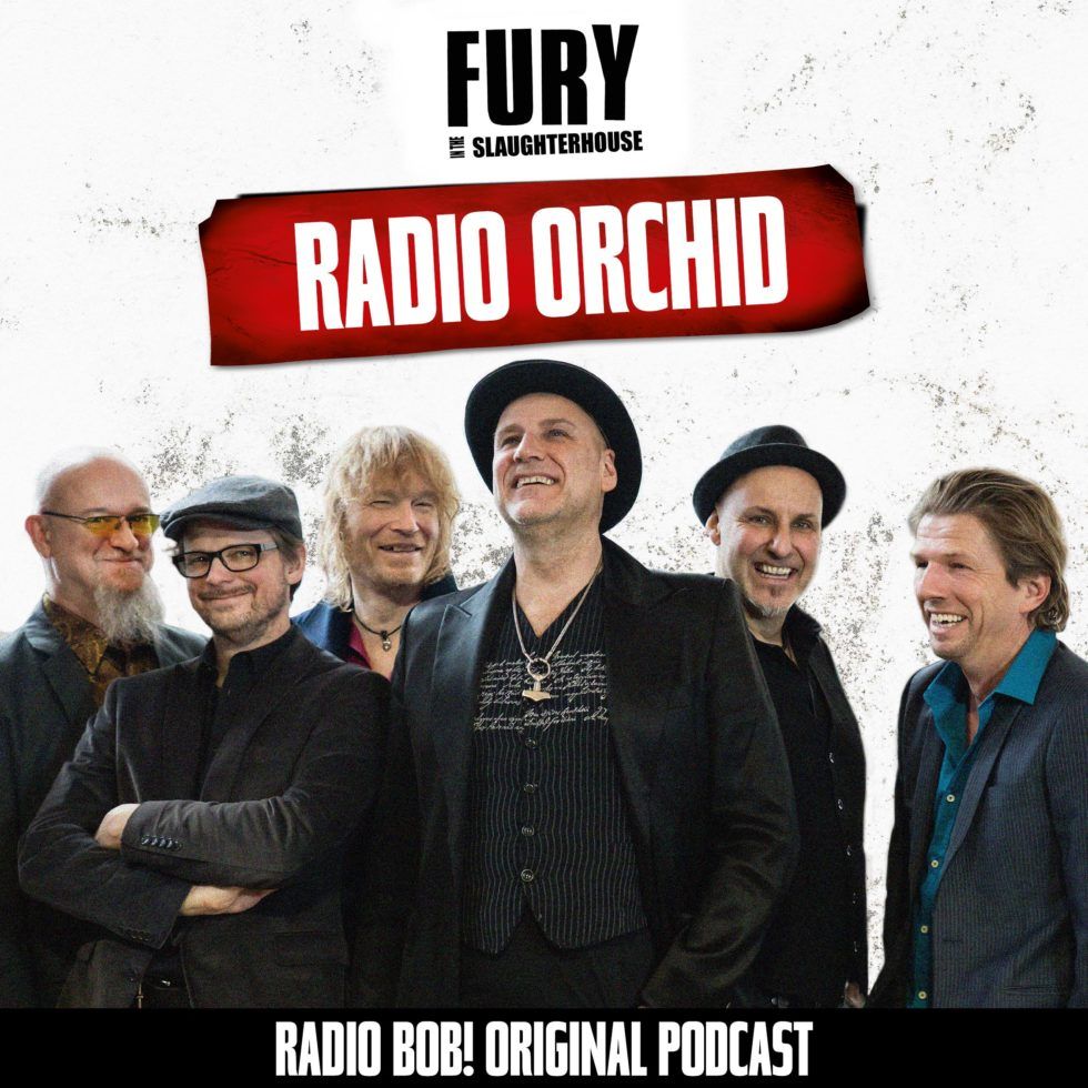 Fury In The Slaughterhouse Radio Orchid Übersetzung